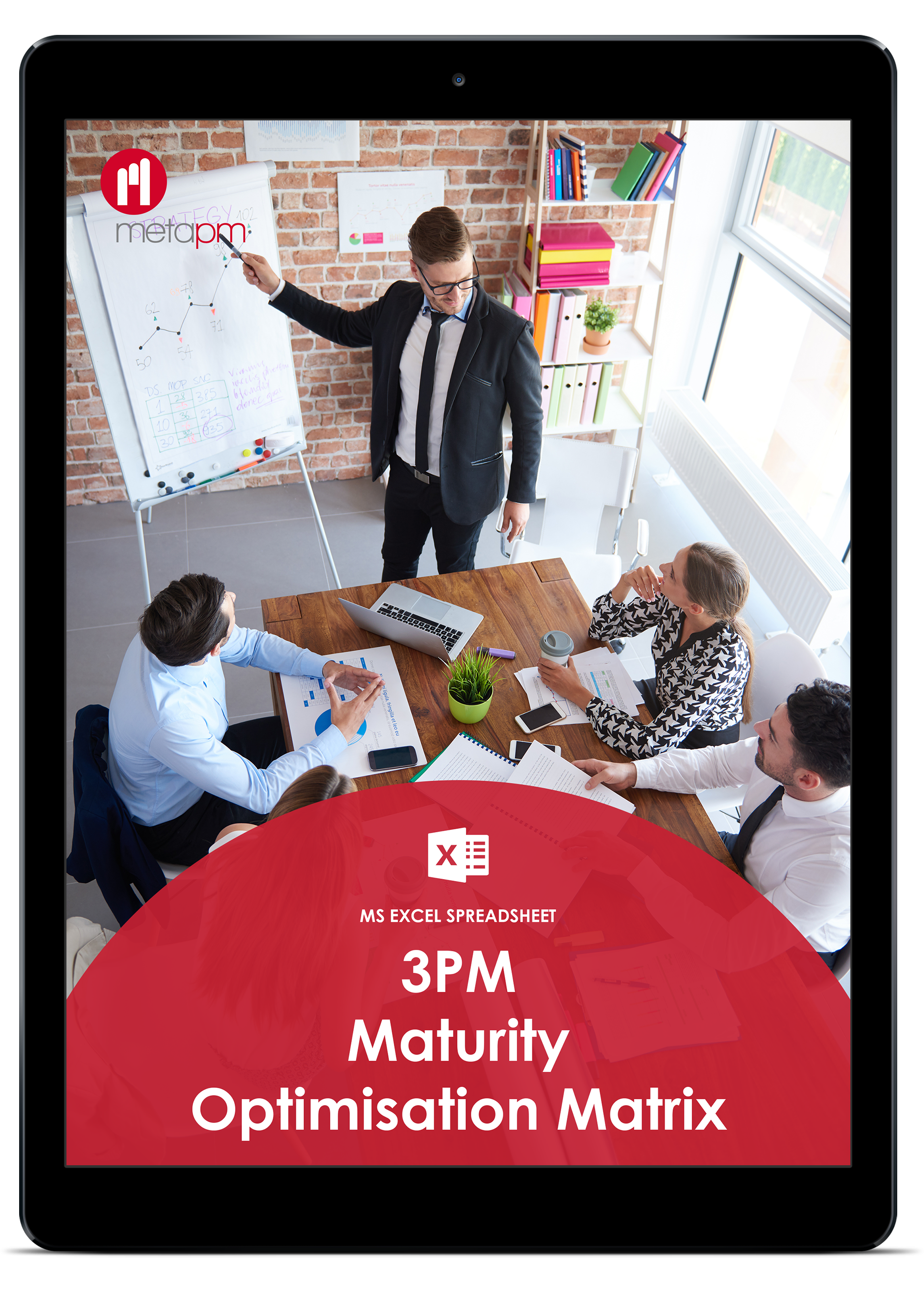 3PM Maturity Matrix Pic